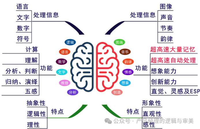 左脑AI VS 右脑AI，哪个更聪明？